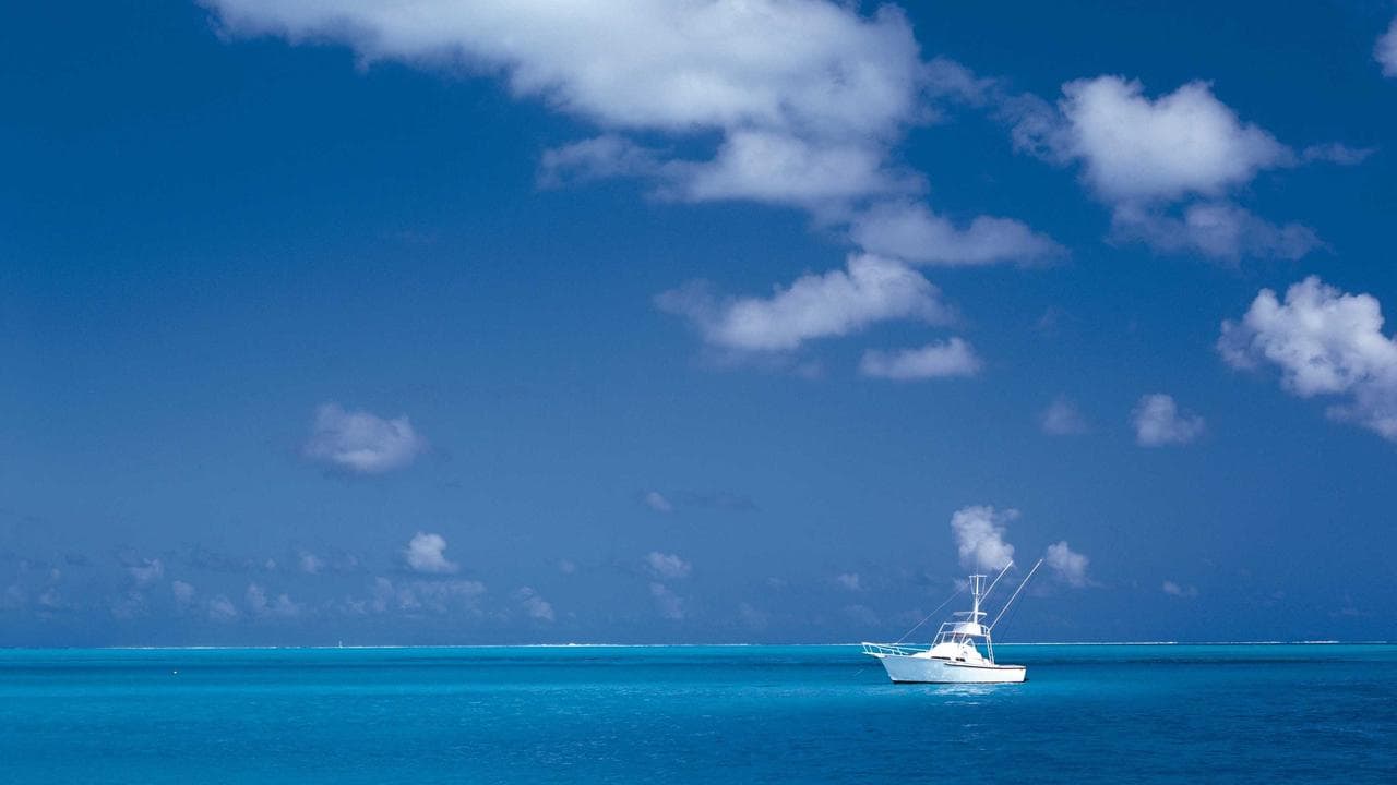 Shields, Hand and Ferry New Natalie