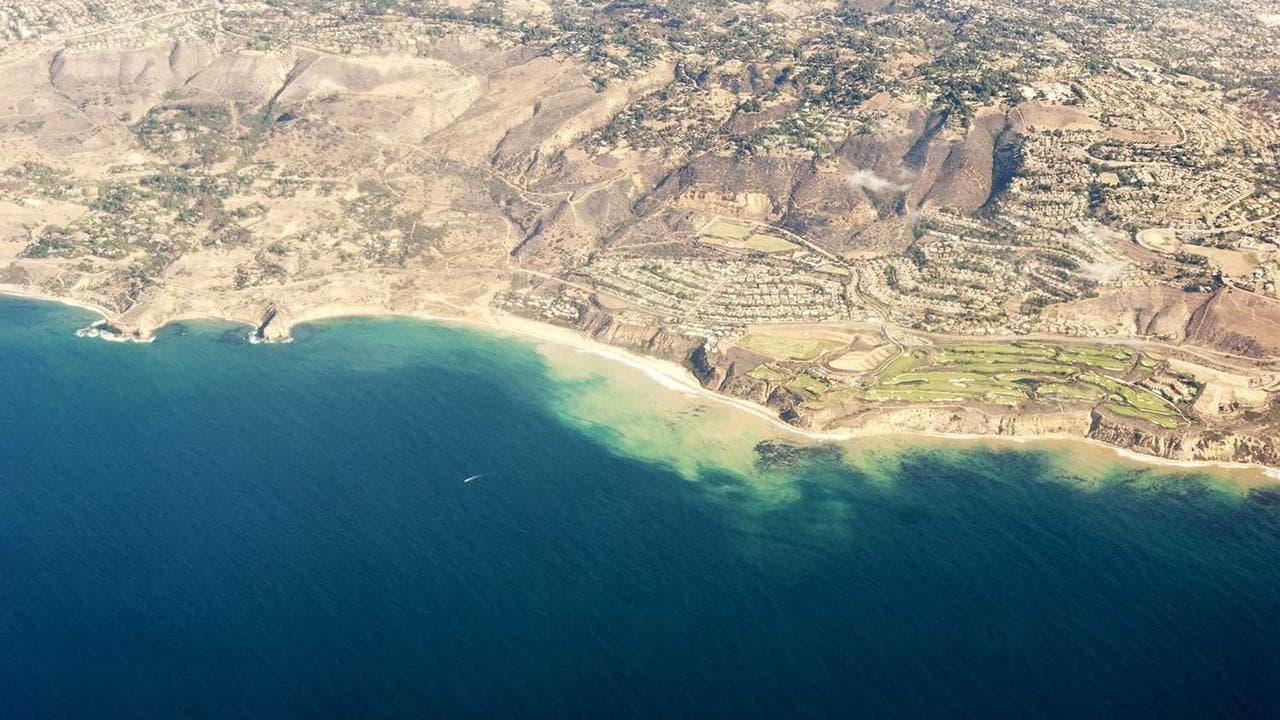 Feil, Upton and Hagenes Elizabeth