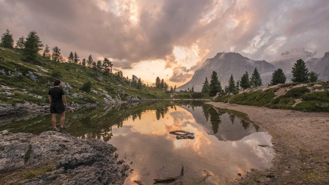 Langworth LLC West Reeceton