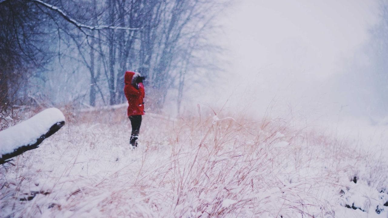 Pagac, Gulgowski and Macejkovic Rempelchester