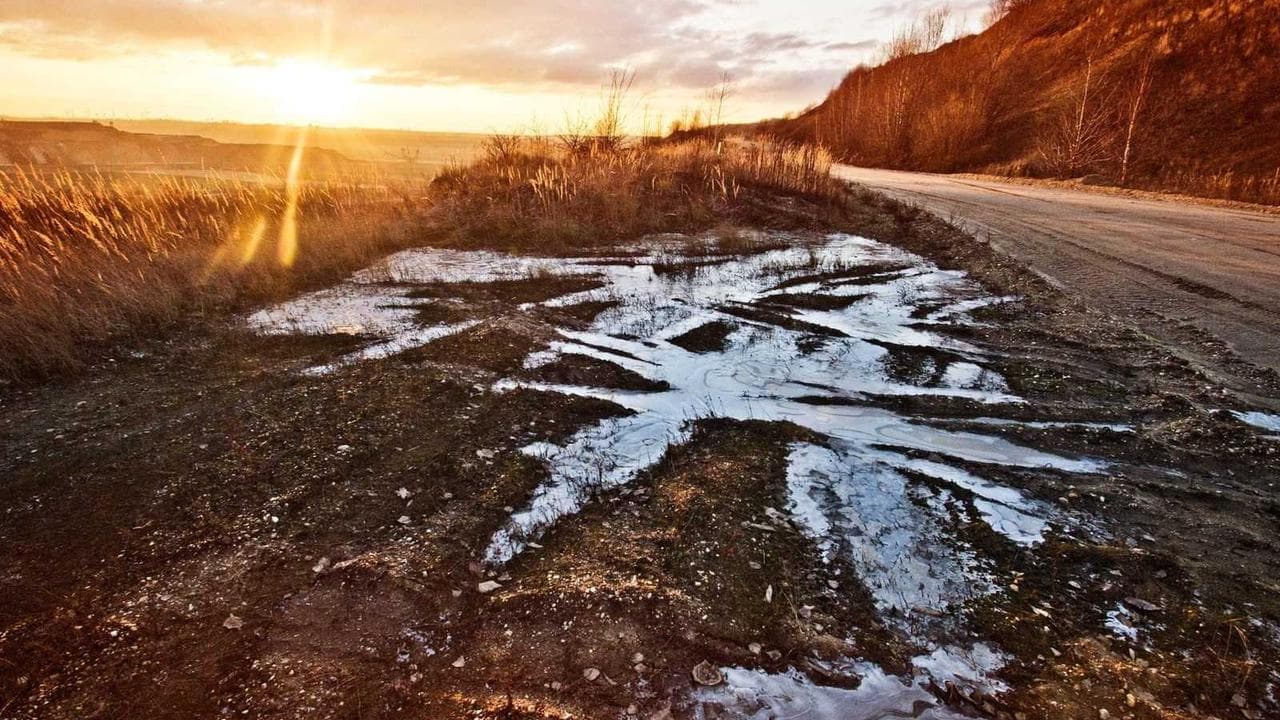 Nikolaus, Dach and Parker Laneycester