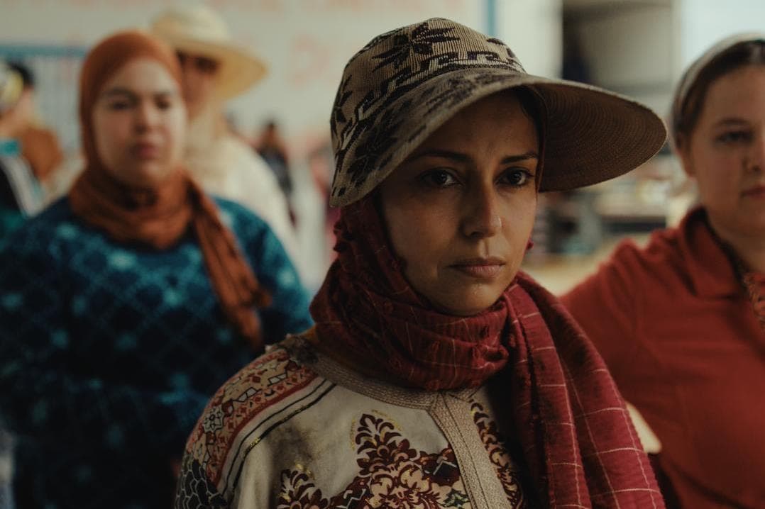 Laila Marrakchi’s ‘Strawberries’ among FilmFest Hamburg winners ...